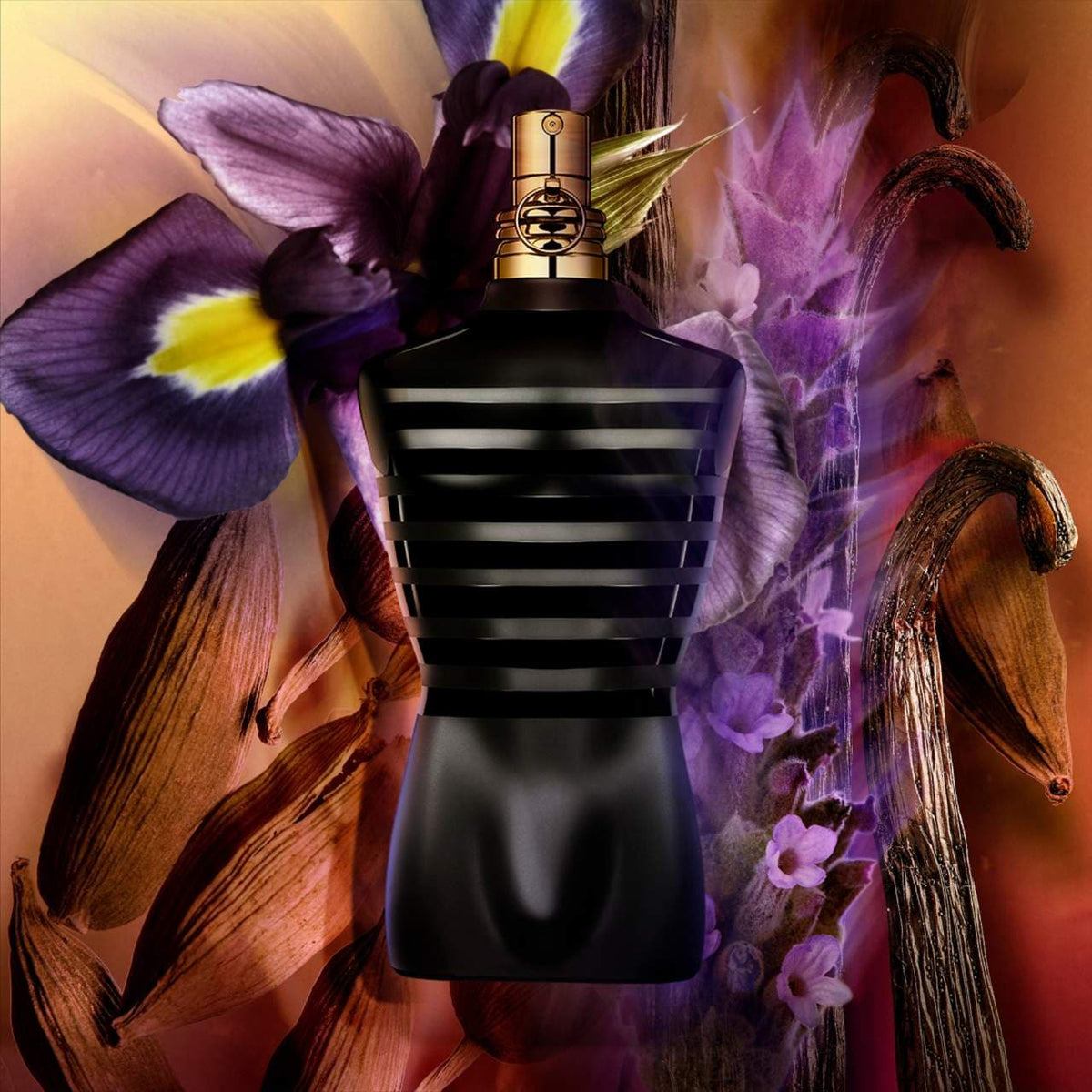 Spiced Aromatic Fragrance